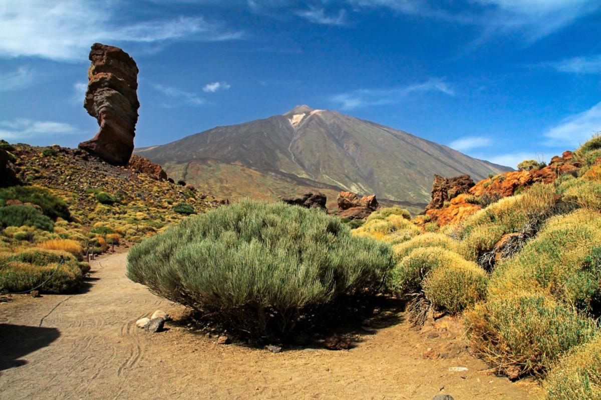 Sweet Home Los Cristianos أرونا المظهر الخارجي الصورة
